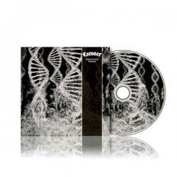 DISSONANCE THEORY (CD)