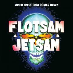 WHEN THE STORM COMES DOWN REISSUE (CD)