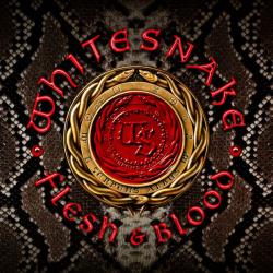 FLESH & BLOOD LTD. EDIT. (CD+DVD DIGI)