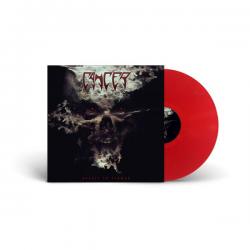 SPIRIT IN FLAMES RED VINYL (LP)