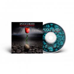 THE ARCHAEOPTIMIST (DIGI)