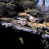 WORLD CLASS LISTENING PROBLEM (CD US-IMPORT)