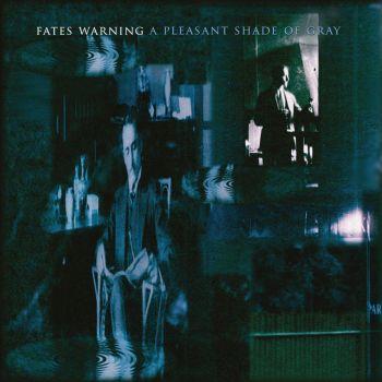 A PLEASANT SHADE OF GRAY LTD. RE-ISSUE (3CD+DVD BOX)