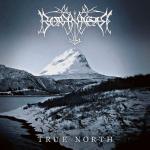 TRUE NORTH (CD)