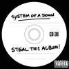 STEAL THIS ALBUM (CD)
