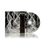 DISSONANCE THEORY (CD) DISSONANCE THEORY (CD)