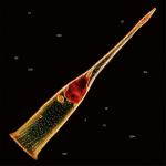 MELODIES OF ATONEMENT (CD) MELODIES OF ATONEMENT (CD)