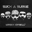 MISSION ERFUELLT (CDS) MISSION ERFUELLT (CDS)